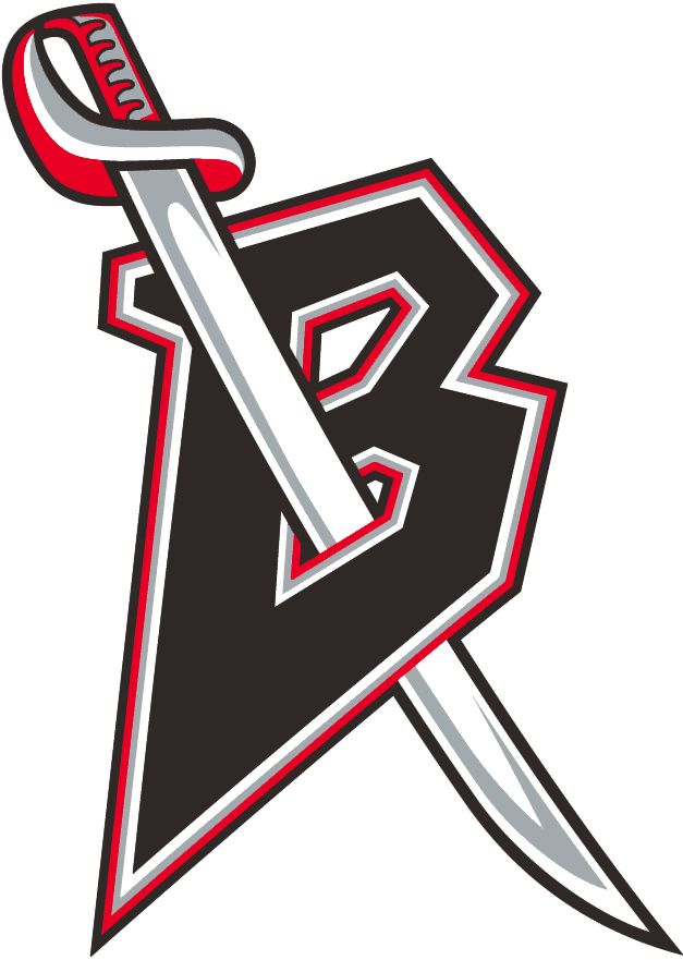 Buffalo Sabres 1996-1999 Alternate Logo v2 DIY iron on transfer (heat transfer)